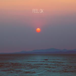 FEEL OK