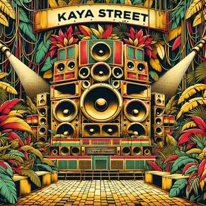 Fire in the Street (Vibronics Remix)