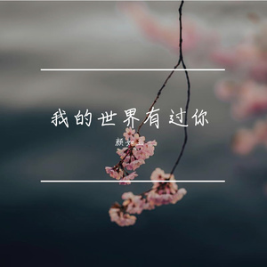 我的世界有过你