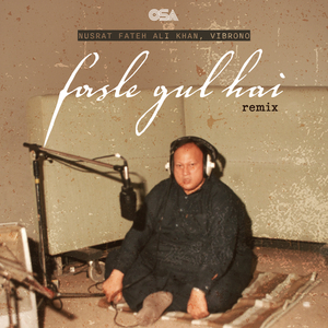 Fasle Gul Hai (Remix)