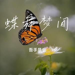 蝶舞梦间