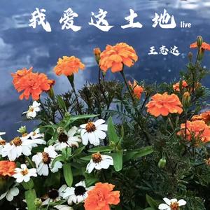 我爱这土地