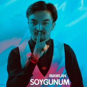 SOYGUNUM