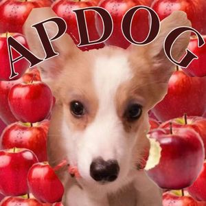 APDog_MMM