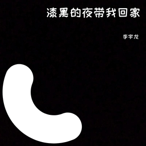 漆黑的夜带我回家