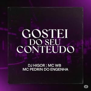 GOSTEI DO SEU CONTEUDO