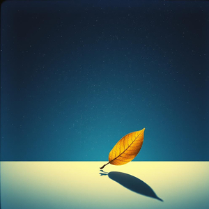 그날의 눈빛 그날의 온기