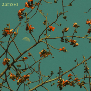Aarzoo