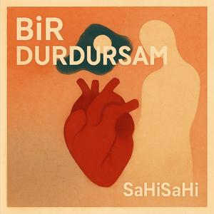 Bir Durdursam