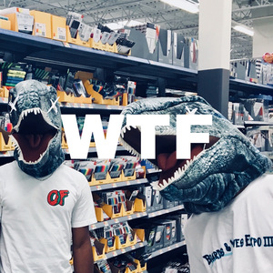 WTF! (Feat. Fredo$tacks)