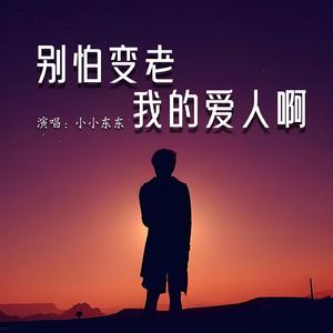 别怕变老我的爱人啊