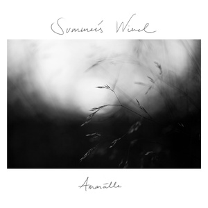 Summer's Wind (Instrumental)