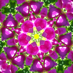 Despite the life's gale trying to knock us off our feet