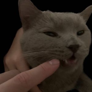 偷偷喜欢(Prod by LAPOP)