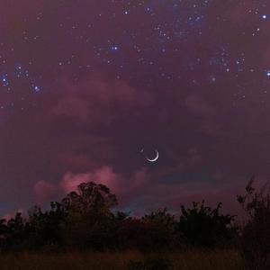 琴（prod.by 9Zi）