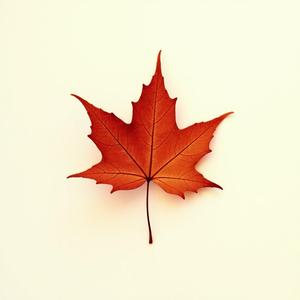 Kimlər Gəldi Kimlər Getdi