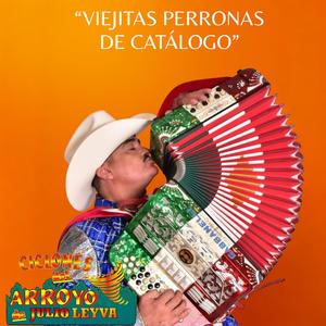 Paloma sin nido-Los Ciclones del Arroyo