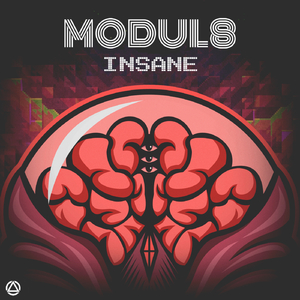 Insane (Original Mix)