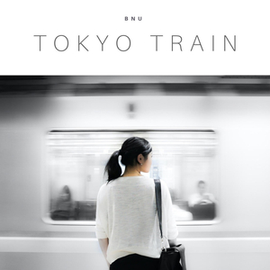 Tokyo Train