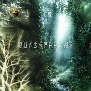 夏日逝去我们在秋天凋零