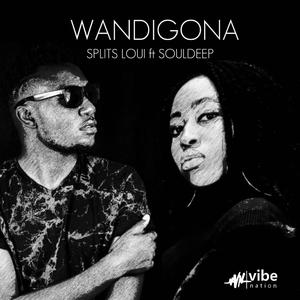 Wandigona (feat. SoulDeep Zim)