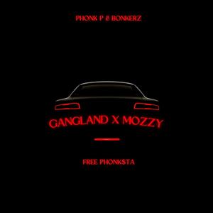 Gandland X Mozzy (feat. Bonkerz)