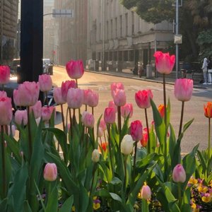 浪漫邂逅（电音版）