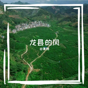 龙县的风