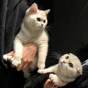 遇见你是最美丽的意外