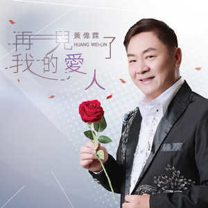 隨風去 （三立戲劇台碟報金曲）