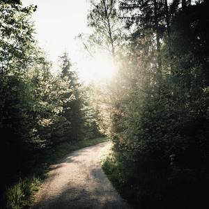 开往春天的的地铁