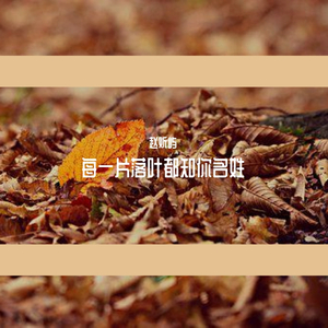 每一片落叶都知你名姓