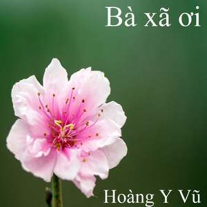 Bà xã ơi 1