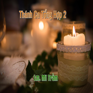 Công Giáo Trăm Phần Trăm