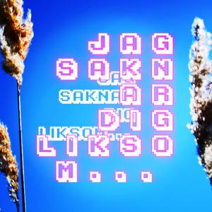 Jag Saknar Dig Liksom