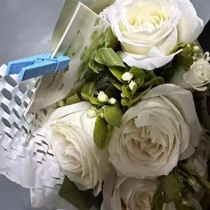 再赴少年之时 （钢琴伴奏）