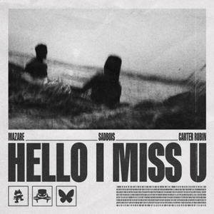 SLANDER, Said The Sky, Mazare, Sadbois, Carter Rubin、Swedish House Mafia - Potions & HELLO, Save The World (SPECT MASHUP)