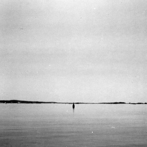 Rose Bay (Beat Pharmacy's Tidal Dub)