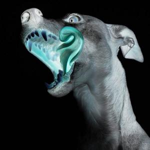 A$AP Ferg-DAWG（连麻Swimming / SASI / 2KC_AAA remix）