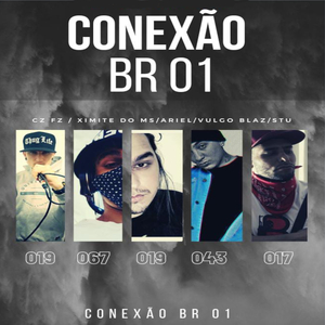Conexão Br 01