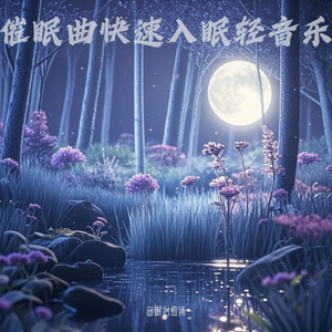 新生儿哄睡白噪音嘘声+羊水声