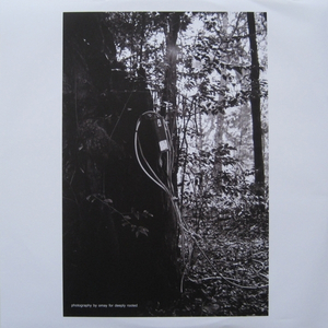 Something In The Woods