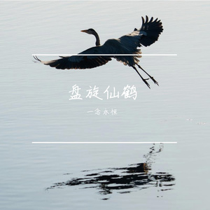 回忆的囚徒_55864914508952064_1760096041797 伴奏