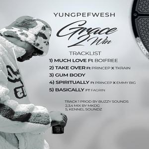 Take Over (feat. Prince P & Tkrain)