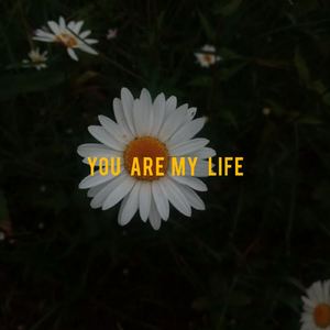 My meaning in life