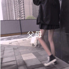 一网情深 (弹跳版)