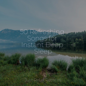 Cuddle Dreamscape