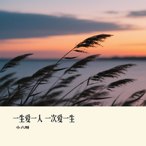 一生爱一人 一次爱一生