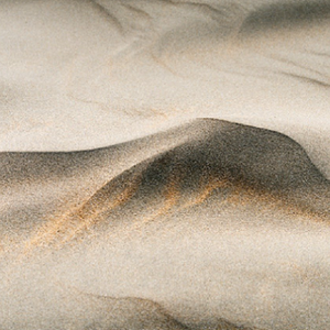 风er（ProdEVOMUSIC或Siren）