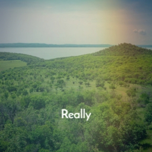 Prince Has Left The Building